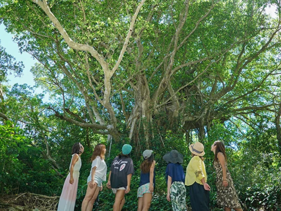 【奄美大島発】加計呂麻島 シュノーケリングツアー ロングプランでは島の観光スポットにもご案内 ＜2.5時間または5.5時間＞ by ダンデライオン奄美 