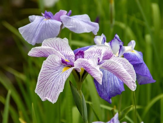 73592e34-5efa-4cbc-b3be-27c4b946