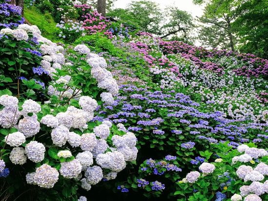 567b15a7-2359-4933-8a4f-d1d5a012