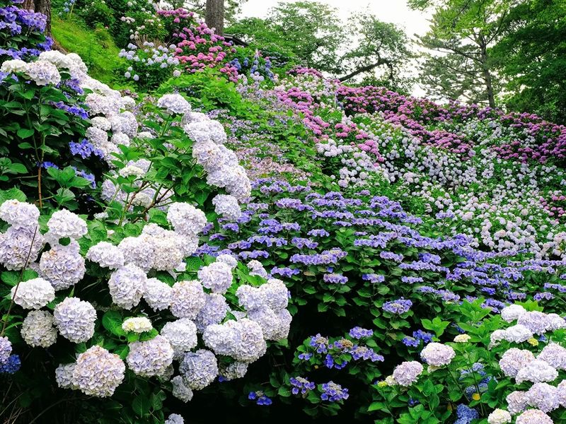 567b15a7-2359-4933-8a4f-d1d5a012