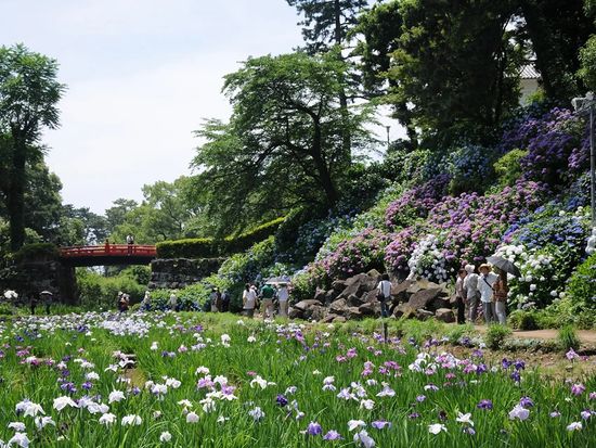 95bbfcaf-2602-4426-8c67-dc079031