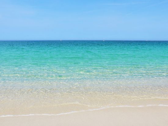 貸切観光タクシー 南紀白浜エリア 三段壁洞窟＋白良浜＋とれとれ市場など定番人気スポットを周遊＜2時間／1～9名／白浜発＞by 白浜第一交通