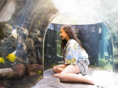 Meet & Play Oahu Sea Lion Encounter with Sea Life Park Admission Ticket