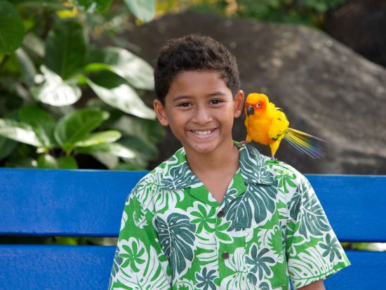 シーライフパーク・ハワイ入場券　イルカや海の動物と遊ぶ人気プログラムが楽しめる