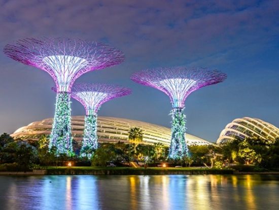 近未来型植物園 ガーデンズ・バイ・ザ・ベイ　入場チケット＜日付指定なし＞