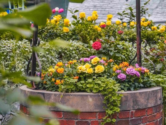 近未来型植物園 ガーデンズ・バイ・ザ・ベイ　入場チケット＜日付指定なし＞