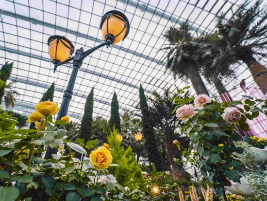 近未来型植物園 ガーデンズ・バイ・ザ・ベイ　入場チケット＜日付指定なし＞