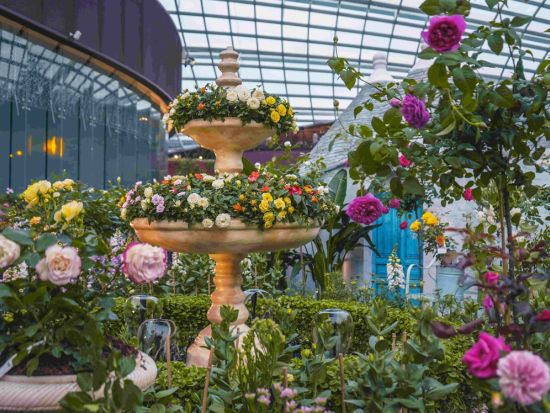 近未来型植物園 ガーデンズ・バイ・ザ・ベイ　入場チケット＜日付指定なし＞