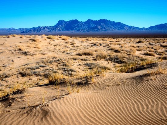 California_Mojave Desert_shutterstock_301776926