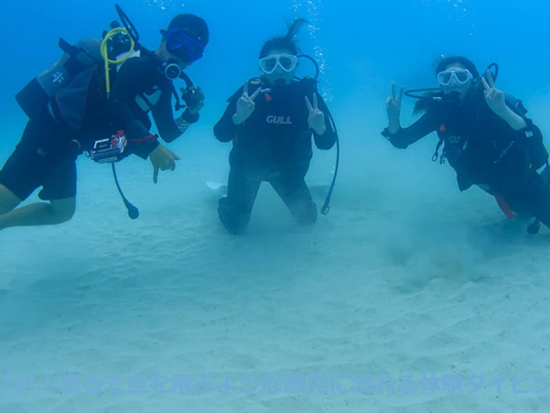 【奄美大島発】加計呂麻島 体験ダイビングツアー 絶景の海中世界をのぞいてみよう ＜ボート／1ダイブ／午前または午後＞ by ダンデライオン奄美