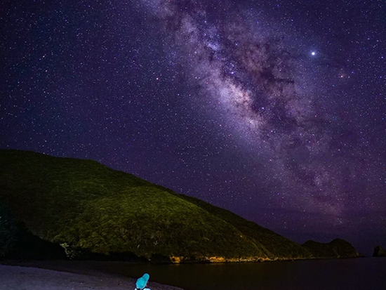 スクリーンショット 2024-04-22 163728