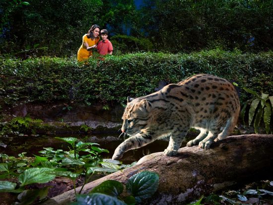 【観光地送迎】シンガポール観光名所（ユニバーサルスタジオなど） ⇔ シンガポール市内ホテル ＜乗合＞