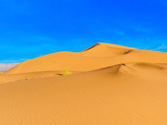 AdobeStock_313330125