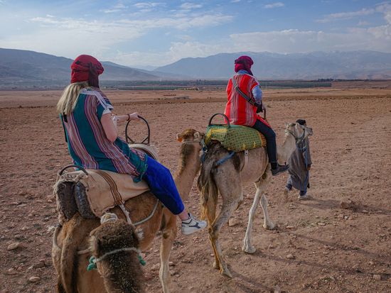 AdobeStock_642846007