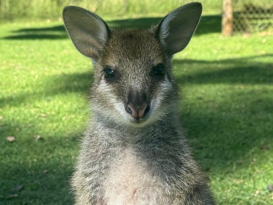 70E4349280615B081165706F8FE2310532BFE1A1