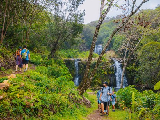 ハワイ島　ハイキング＆オフロードドライブ　滝遊びもあり ＜1日／昼食付／英語ガイド＞