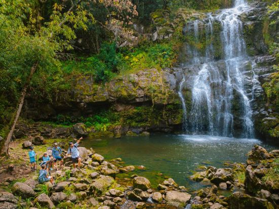 ハワイ島　ハイキング＆オフロードドライブ　滝遊びもあり ＜1日／昼食付／英語ガイド＞