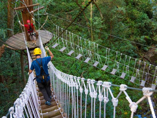 コハラ地区 ジップライン＆吊り橋渡り体験　滝つぼ遊び付きプランあり ＜英語インストラクター＞