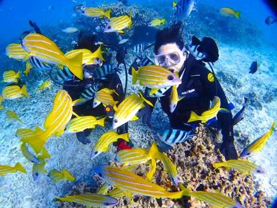 【ベストプライス】クマノミ城ボート体験ダイビング 完全貸切！たくさんの可愛いお魚に囲まれて気分は竜宮城！SNS映え無料撮影サービスあり◎＜約2時間／恩納村＞