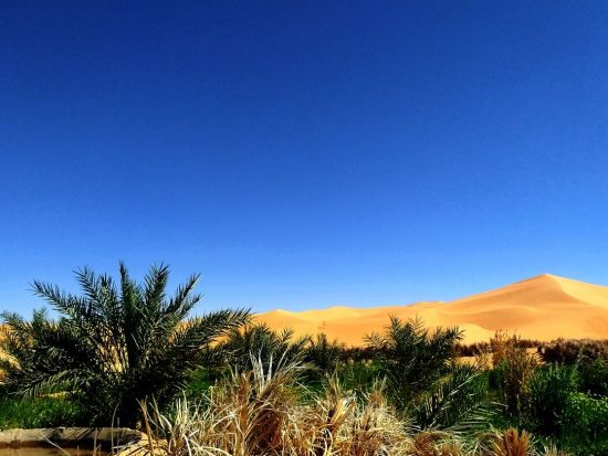 アルジェリア周遊ツアー　世界遺産ムザブの谷＆カスバ、エル・メニア、レッド・オアシスなどを巡る＜6泊7日／9月～5月／英語ガイド／アルジェ発着＞