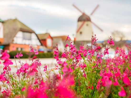 USA_CA_Solvang_AdobeStock_553332569