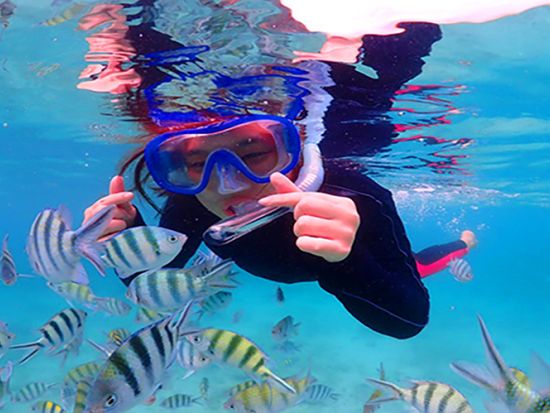 クラビ・ホン島ロングテールボートツアー　事前予約