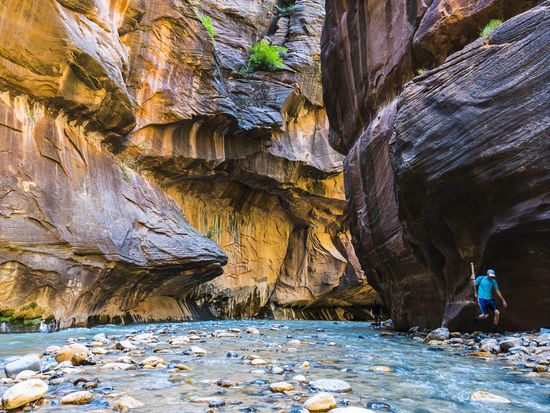 USA_Utah_Zion National Park_shutterstock_572597245