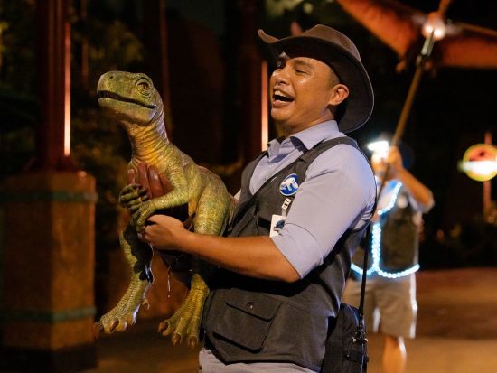 ユニバーサル・スタジオ・シンガポール　入場チケット 当日そのまま入場可能！＜チケット引き換え不要／日付指定＞