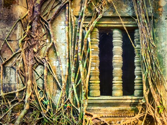 ベンメリア遺跡半日観光ツアー　午後出発なら穴場スポットでの夕日鑑賞も楽しめる！＜貸切プランあり／午前または午後／日本語ガイド＞