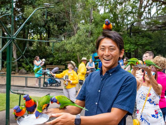 Lorikeet Feeding - Man feeding
