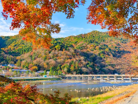 Japan_Kyoto_Arashiyama_Autumn_pixta_71968136