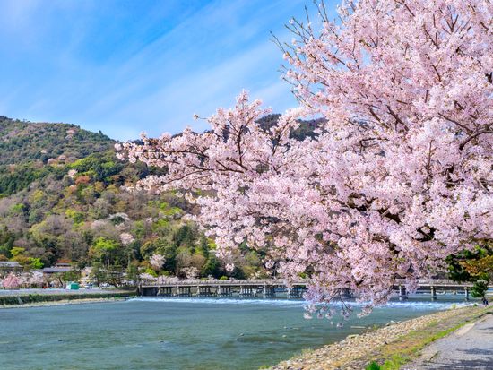 Japan_Kyoto_Arashiyama_PIXTA_64249500