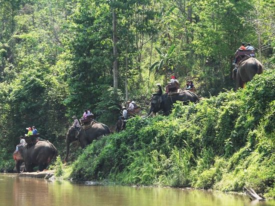 チェンマイ1泊2日ツアー　ドイステープ寺院＋首長族の村＋象乗り体験＋カントークディナー＜日本語ガイド／往復航空券付き／バンコク発＞