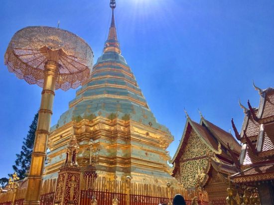 チェンマイ1泊2日ツアー　ドイステープ寺院＋首長族の村＋象乗り体験＋カントークディナー＜日本語ガイド／往復航空券付き／バンコク発＞