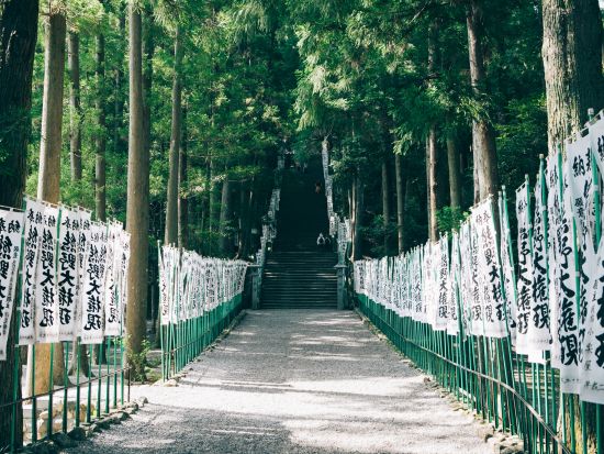 貸切観光タクシー 熊野古道 中辺路  箸折峠～牛馬童子～近露王子トレッキング＋車の移動を組み合わせた手軽な参拝プラン ＜白浜エリア発＞ by白浜第一交通
