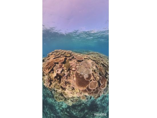 17エンド・青の洞窟、通り池などなど神秘的な世界へレッツゴー！！完全貸切のボートで楽しい時間を過ごそう＜約6時間／宮古島＞