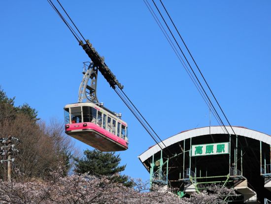 20240329004320_2139011506_16920_9