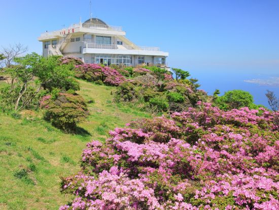 20240329004225_629711418_16920_9