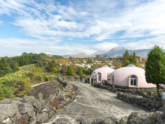路線バスで行く 阿蘇ファームランド＆阿蘇山上の雄大な自然を満喫する旅＜昼食付／熊本桜町バスターミナル・熊本駅・阿蘇くまもと空港発＞
