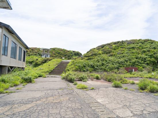 路線バスで行く 阿蘇ファームランド＆阿蘇山上の雄大な自然を満喫する旅＜昼食付／熊本桜町バスターミナル・熊本駅・阿蘇くまもと空港発＞