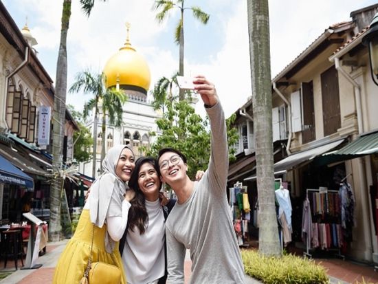 シンガポール半日観光ツアー マーライオン＋3つの民族文化地区　チャイナタウン＆アラブストリート＆リトルインディア　＜午後／日本語ガイド＞