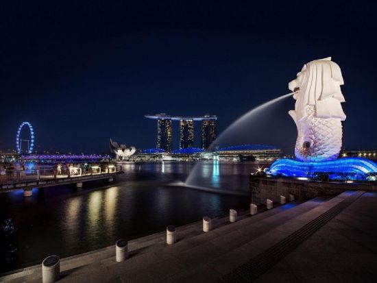 シンガポール半日観光＆夜景ツアー マーライオンなど定番観光＋シンガポールフライヤー＋ガーデン・ラプソディとスペクトラショー鑑賞＜午後／夕食付き／日本語ガイド＞