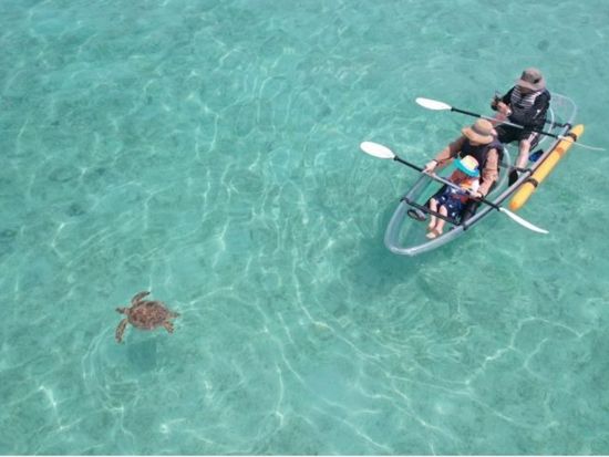 クリアSUP・クリアカヤック体験 ウミガメが生息するビーチで水中世界を楽しもう＜0歳から参加OK／ドローン撮影サービス／恩納村＞