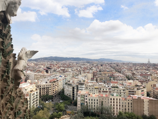 鐘塔への入場確約プランあり！サグラダ・ファミリア＆サン・パウ病院　バルセロナ半日観光ツアー ＜3時間／日本語ガイド＞＊前日まで予約受付中