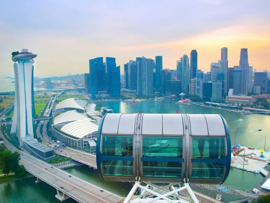 シンガポール夜景ツアー　ガーデンズ・バイ・ザ・ベイ＆マリーナ・ベイ・サンズの光と音のショー＋シンガポールフライヤー乗車 ＜日本語ガイド／夕食付き／往復送迎＞