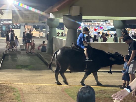 チャモロビレッジ・ナイトマーケット　シャトルチケット＜3時間有効／Eチケット対応＞by Lam Lam Tours and Transportation