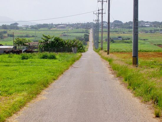 小浜島レンタサイクル 心地よい風を感じながらラクラク観光！石垣島からの往復フェリーチケット付き＜石垣島発＞
