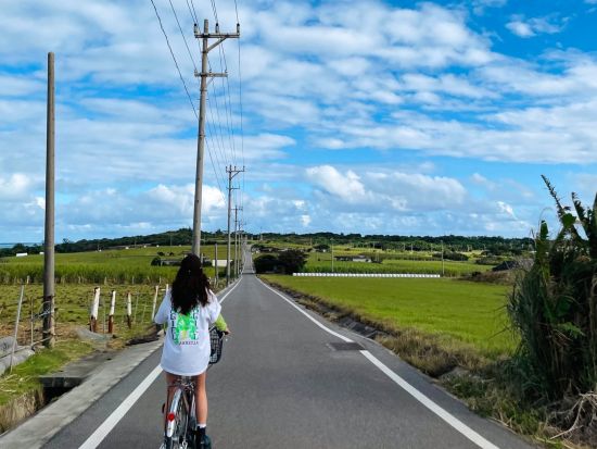 小浜島レンタサイクル 心地よい風を感じながらラクラク観光！石垣島からの往復フェリーチケット付き＜石垣島発＞