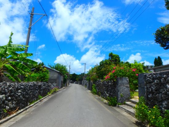 小浜島レンタサイクル 心地よい風を感じながらラクラク観光！石垣島からの往復フェリーチケット付き＜石垣島発＞