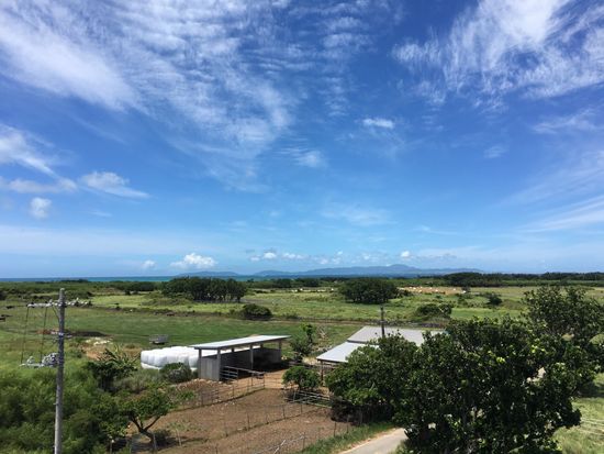 展望台からの風景